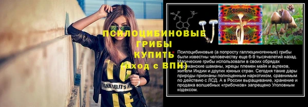 мдпв Покровск