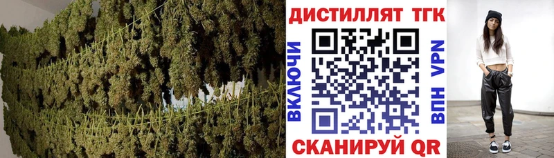 блэк спрут tor  Бабаево  ТГК жижа 